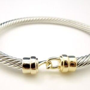Silver Twist Bracelet with Gold Accent and Hook Closure